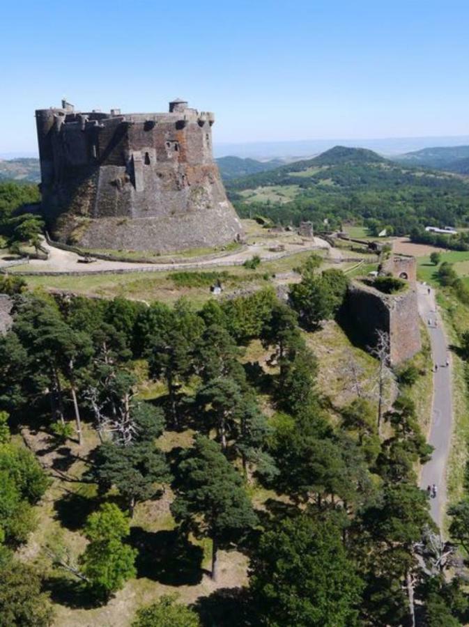 Les Terrasses Du Chateau De Murol - Studio 4P Au Pied Du Chateau De Murol Eksteriør billede